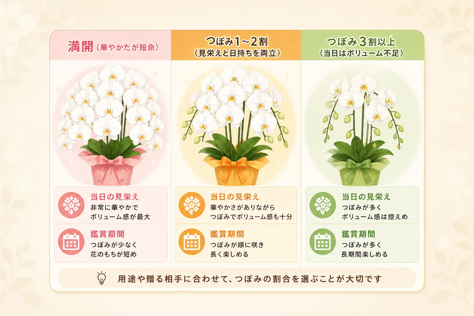 つぼみの割合ごとの当日見栄えと日持ち期間の違いを3段階で比較したインフォグラフィック表