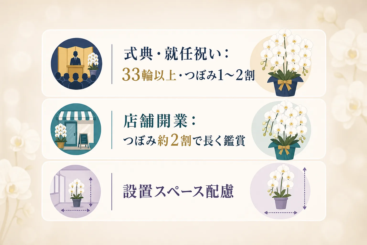 お祝いシーンに応じた適切な胡蝶蘭の輪数やつぼみ比率の選び方をまとめたチェックリスト