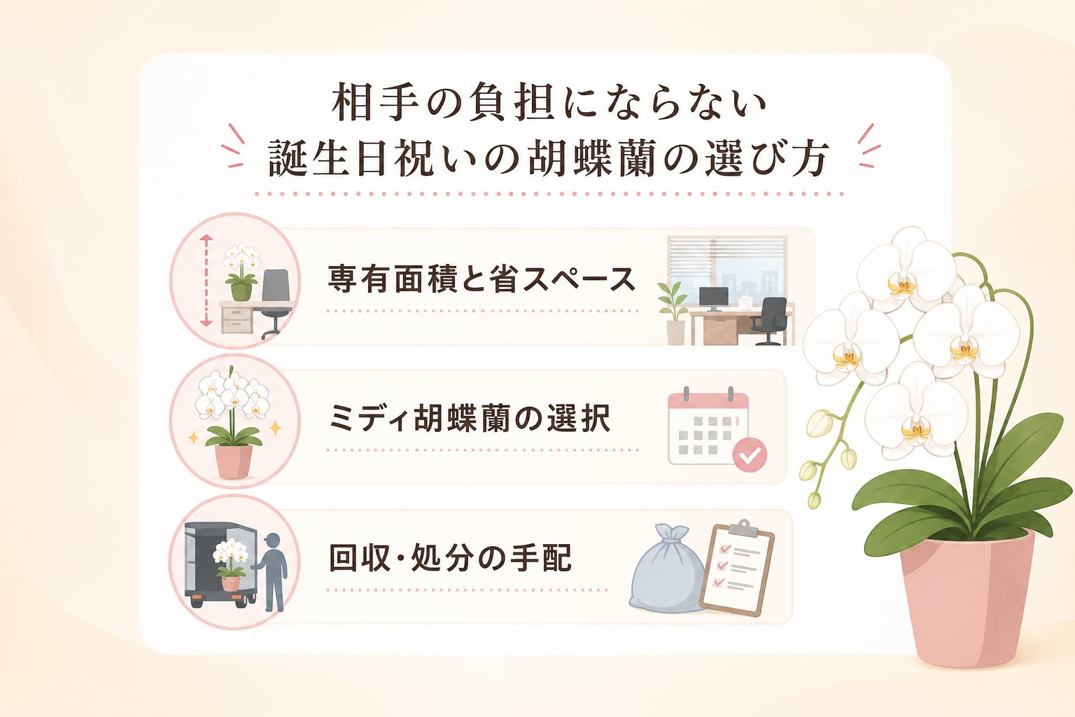 相手の負担にならない誕生日祝いの胡蝶蘭の選び方は？