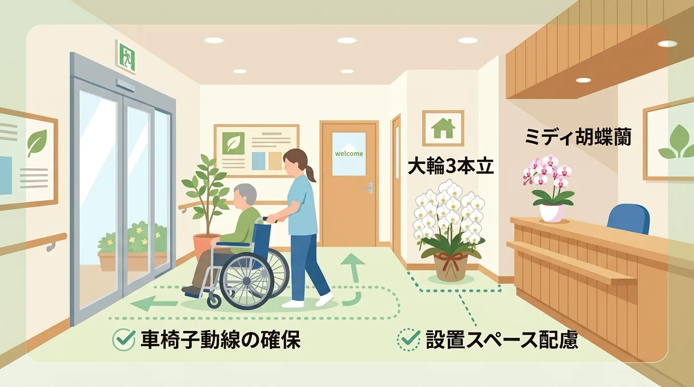 デイサービスのエントランスで車椅子の通行幅を確保しつつ配置された大輪胡蝶蘭とミディ胡蝶蘭の図解イラスト