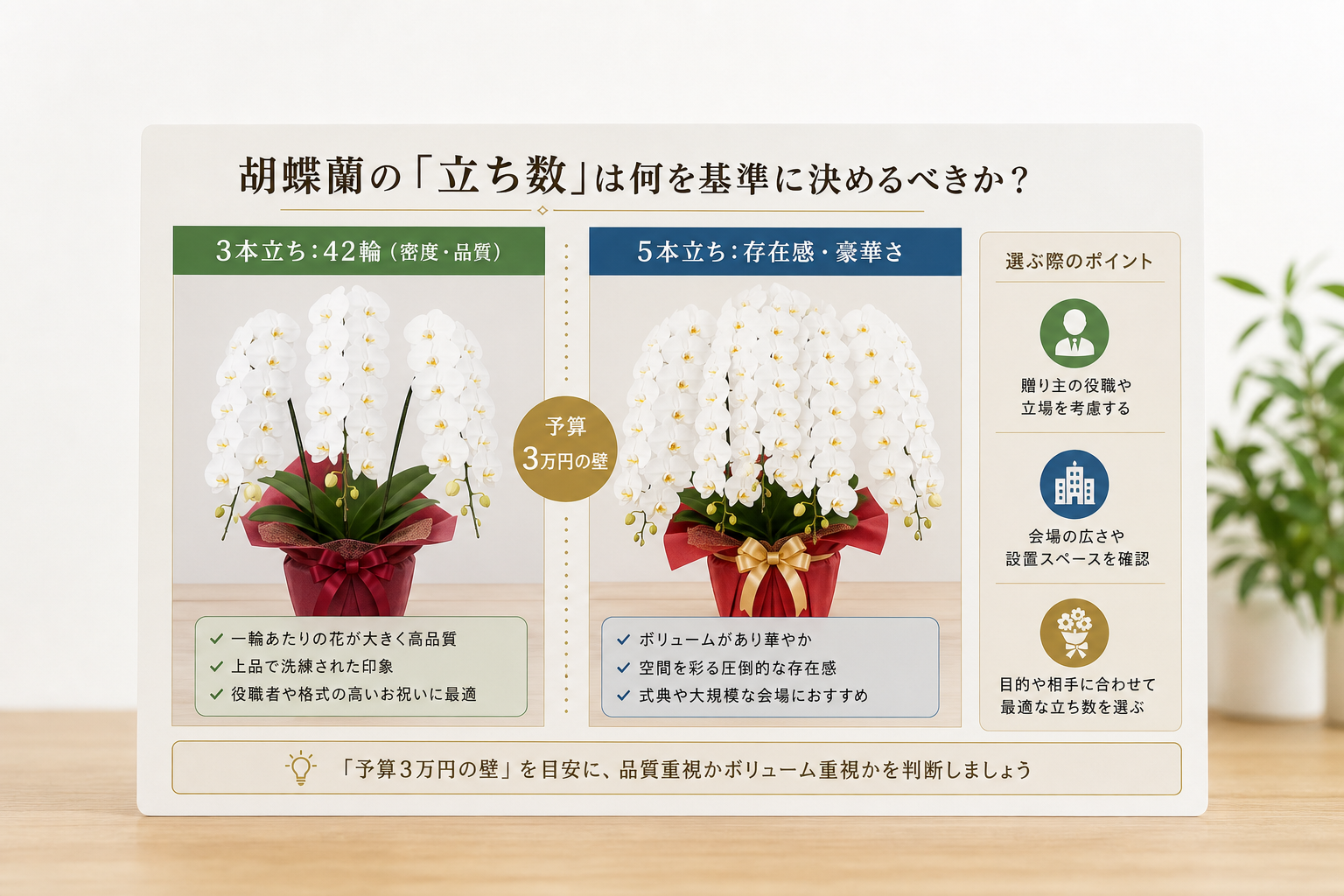 胡蝶蘭の「立ち数」は何を基準に決めるべきか？