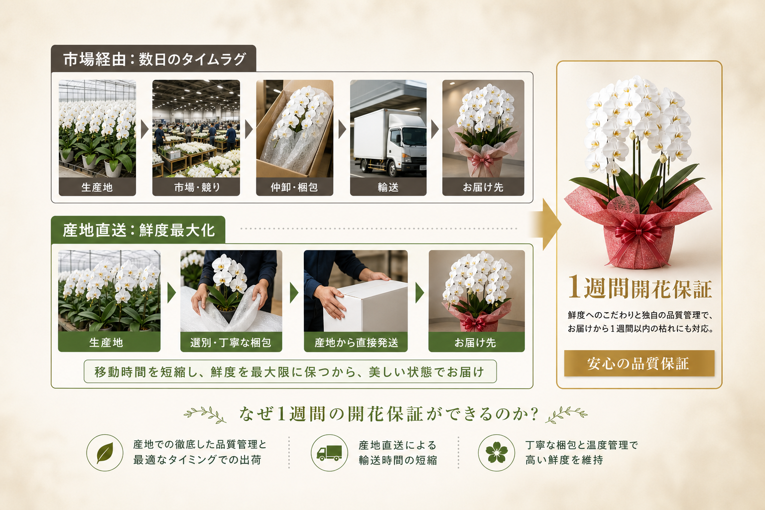 1週間以内の枯れにも対応する「独自の品質保証」と産地直送のメリットとは？