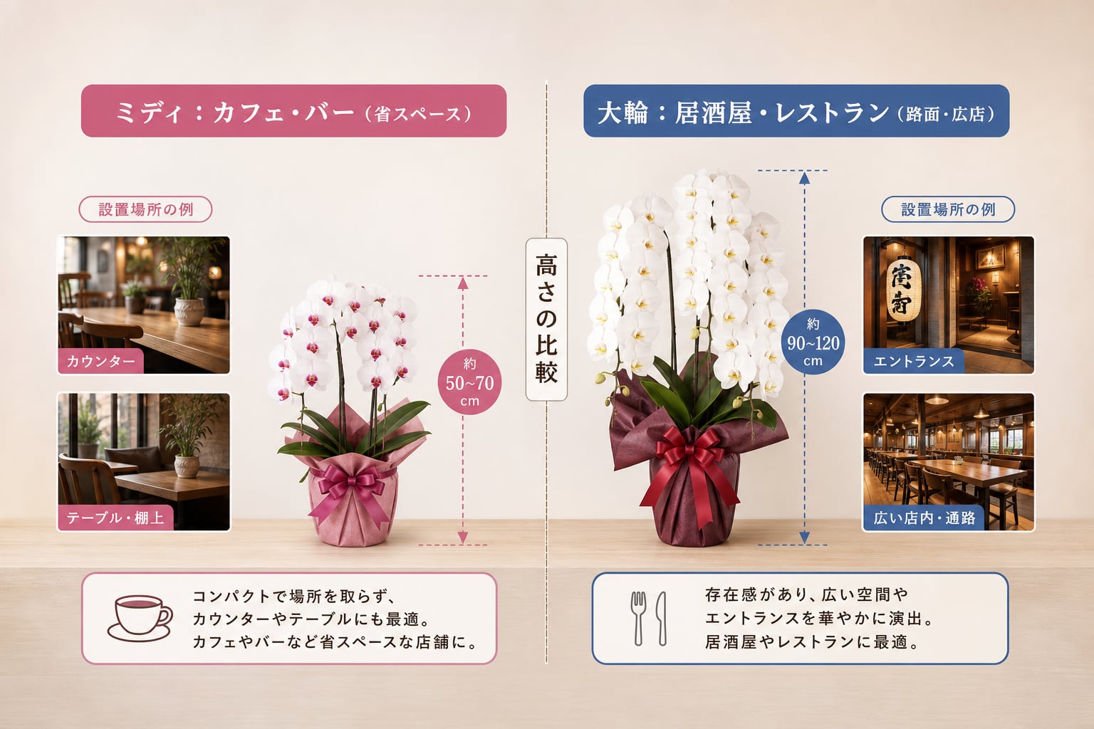 カフェや居酒屋など業態別に最適な胡蝶蘭のサイズは？