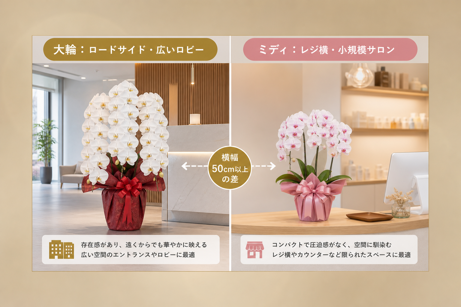 店舗の広さや業種に合わせた最適な胡蝶蘭のサイズはどう選ぶ？