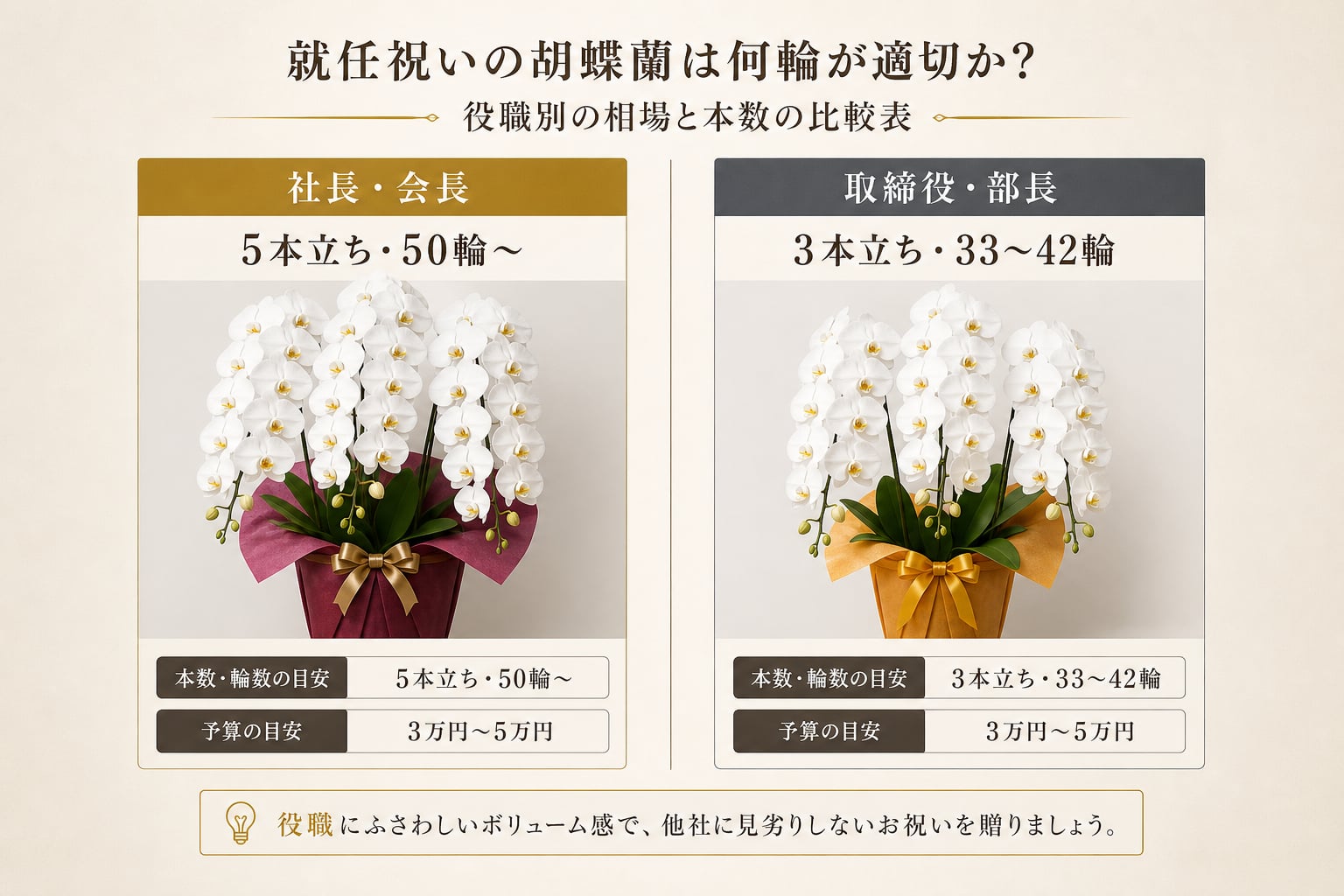 就任祝いの胡蝶蘭は何輪が適切か？役職別の相場と本数の比較表