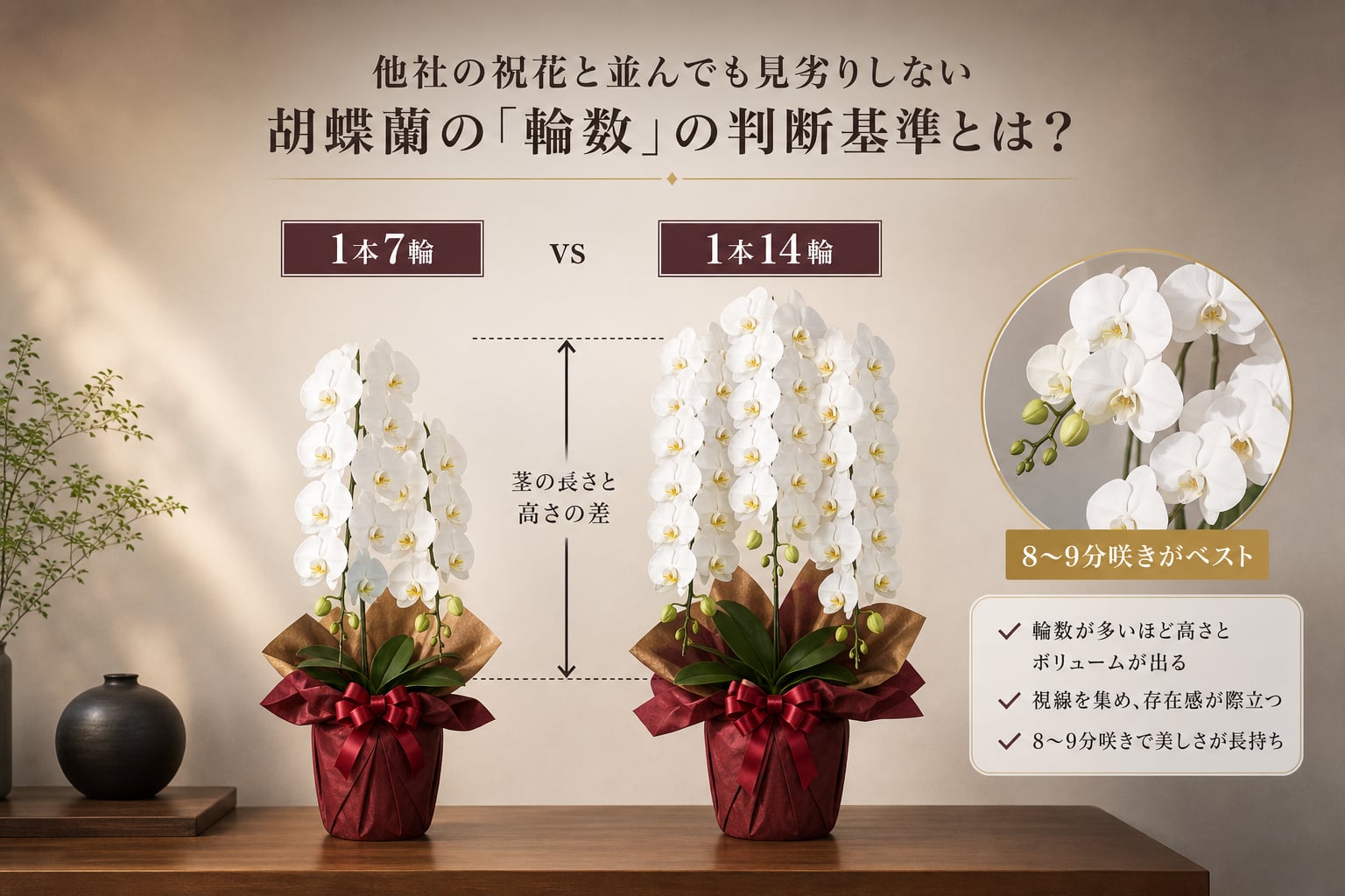 他社の祝花と並んでも見劣りしない胡蝶蘭の「輪数」の判断基準とは？