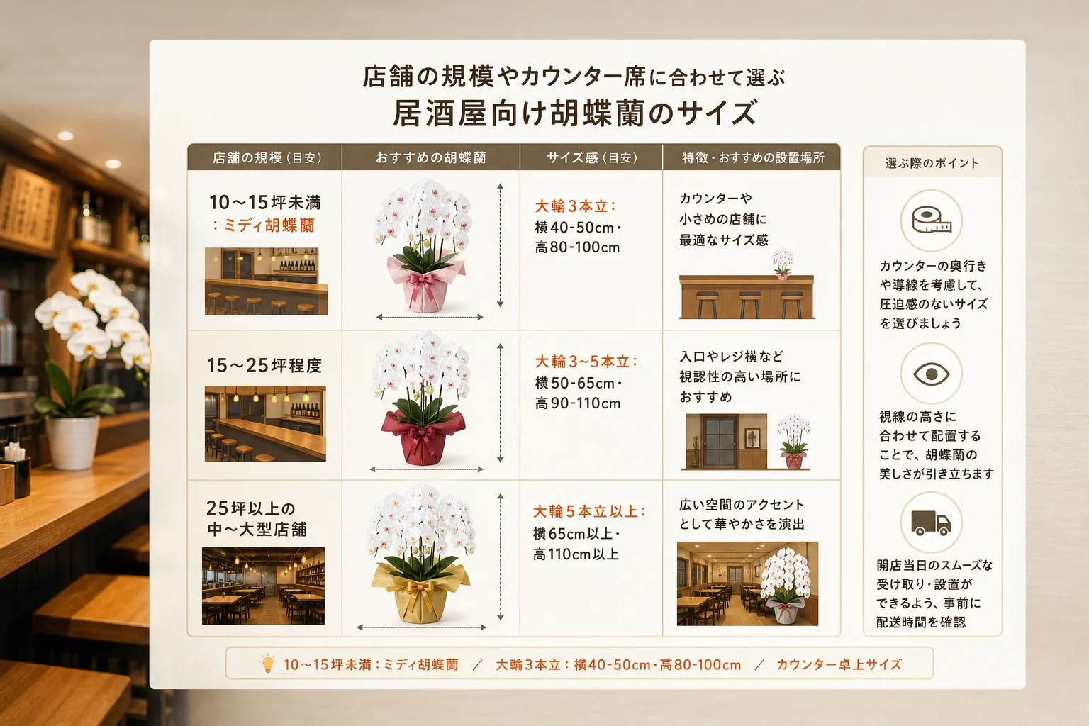 居酒屋の店舗面積に応じた胡蝶蘭のサイズ規格と寸法目安をまとめた図表