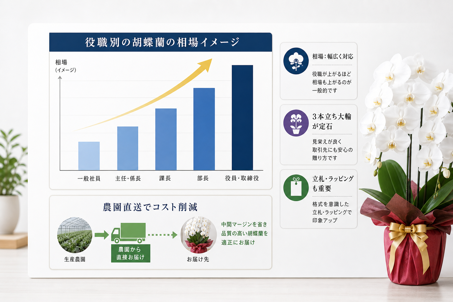 取引先に失礼のない胡蝶蘭の相場とコストを20%以上削減する方法は？