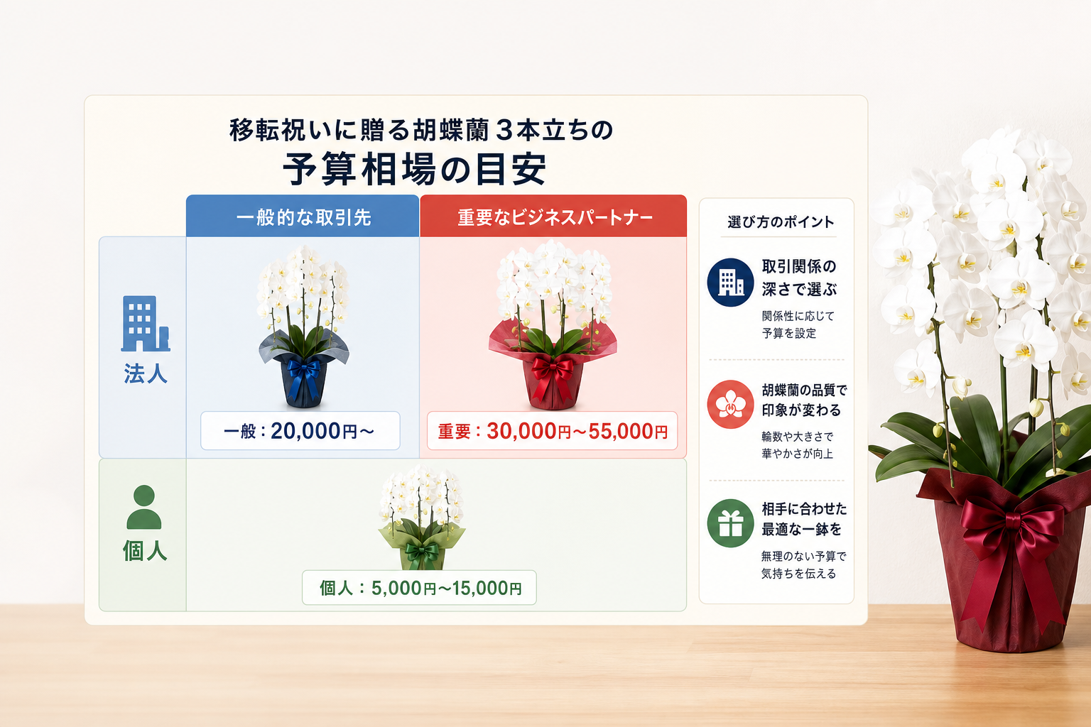 移転祝いに贈る胡蝶蘭3本立ちの予算相場はいくら？