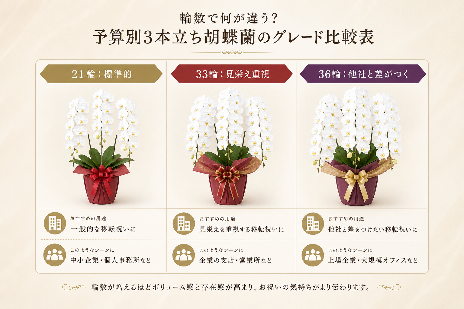 輪数で何が違う？予算別3本立ち胡蝶蘭のグレード比較表