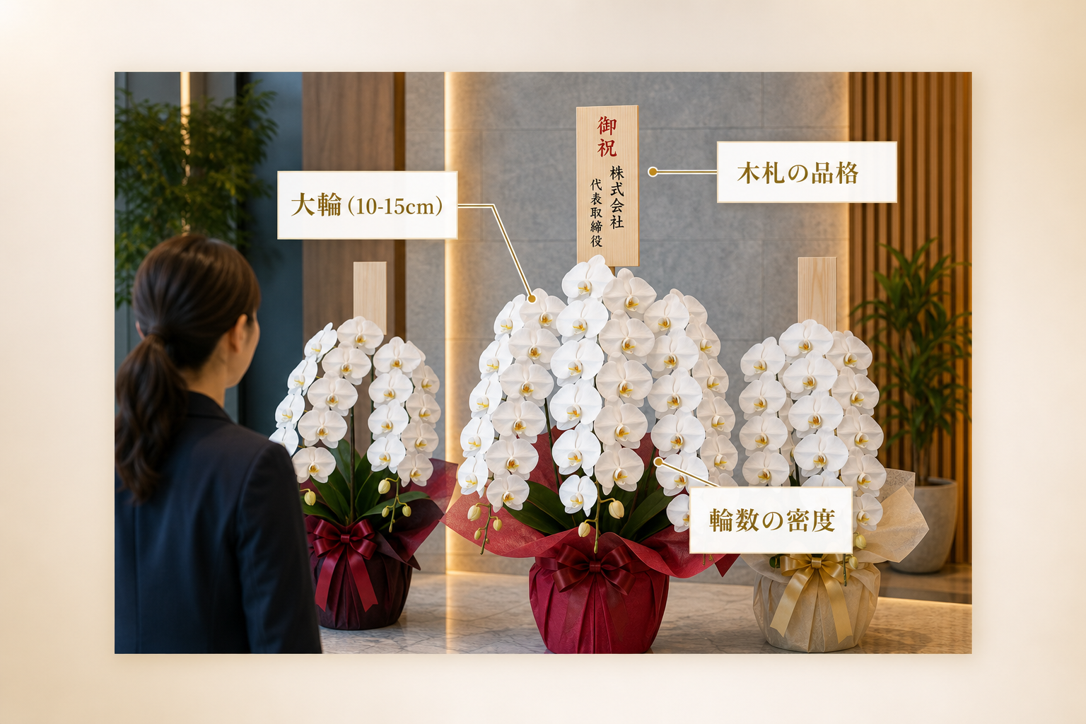 他社と並んでも見劣りしない胡蝶蘭を選ぶ基準とは？