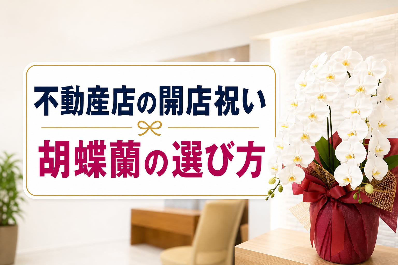 不動産会社開店祝いの胡蝶蘭相場と選び方！店舗別の贈るマナー