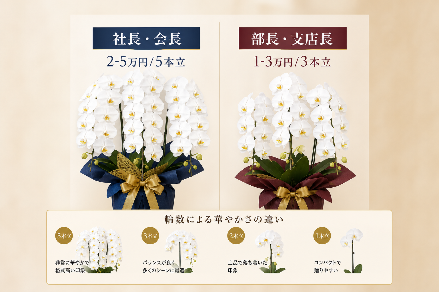 相手の役職に合わせた就任祝いの胡蝶蘭の相場や本数はどう決めるか？
