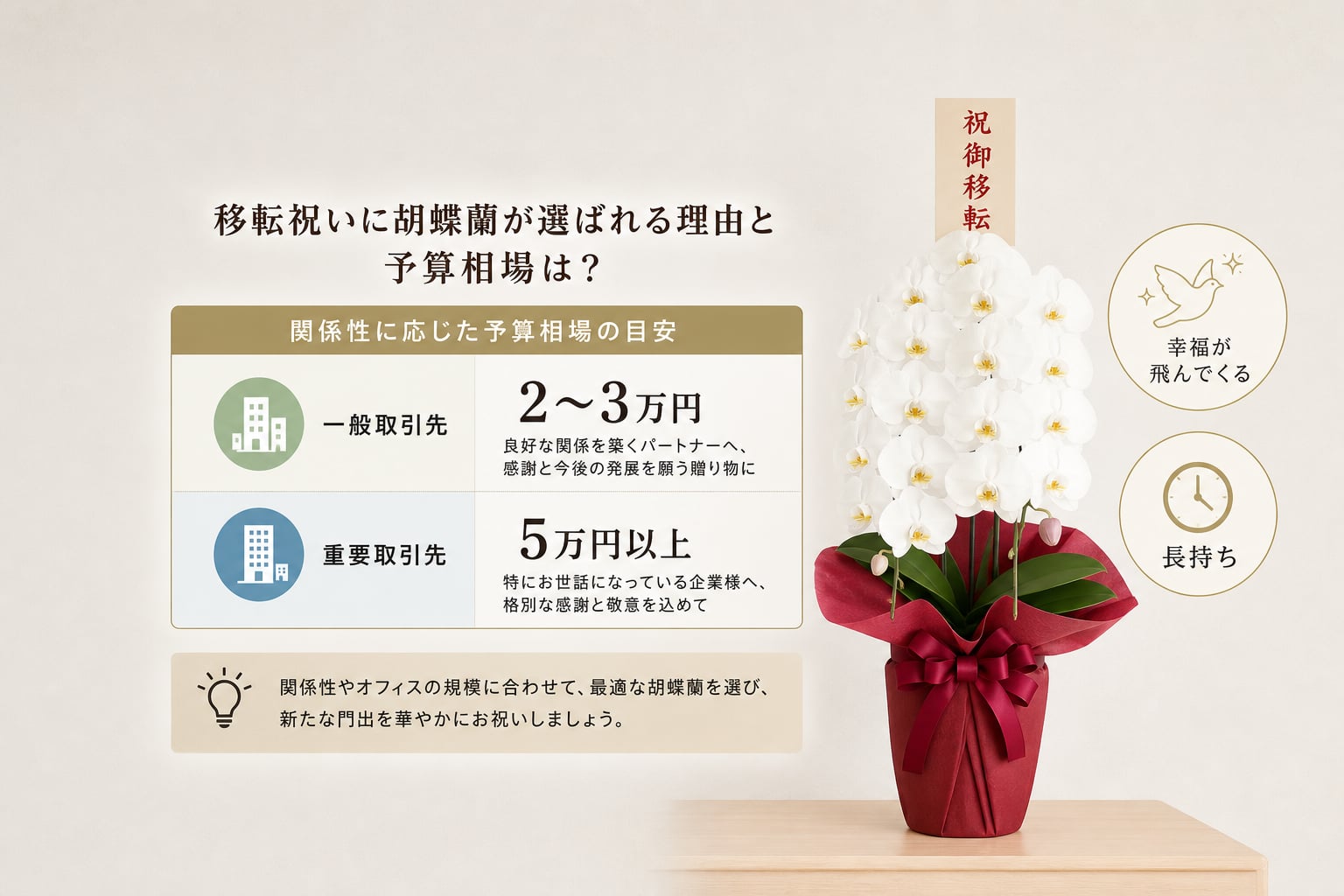 移転祝いに胡蝶蘭が選ばれる理由と予算相場は？