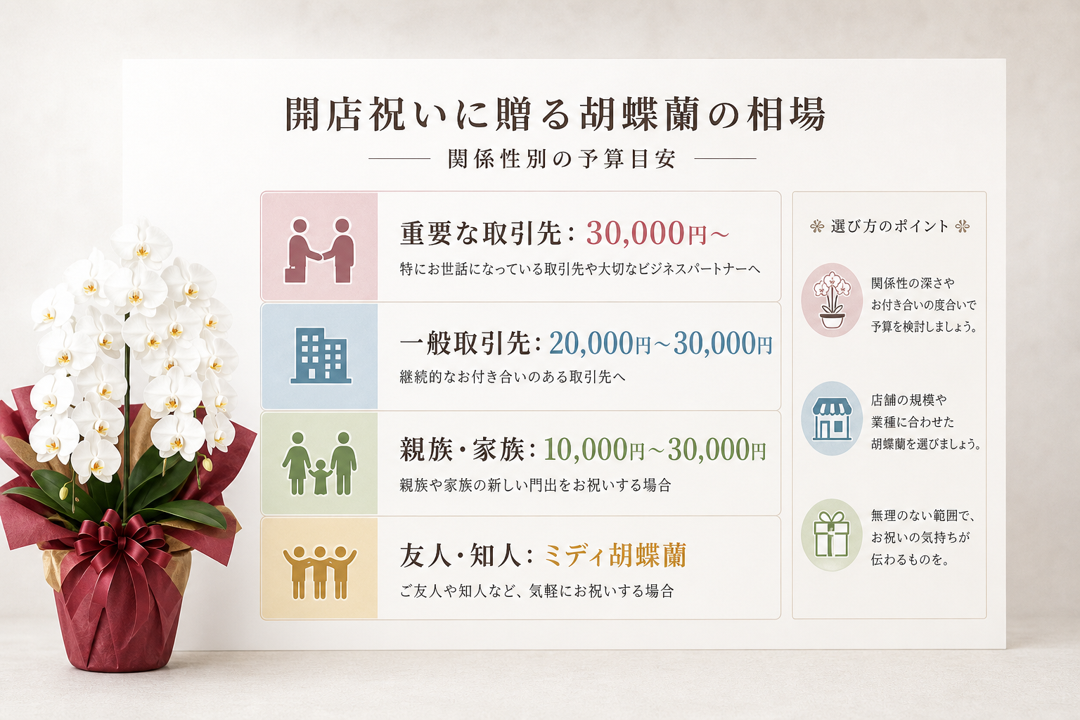 開店祝いに贈る胡蝶蘭の相場はいくら？（関係性別の予算目安）