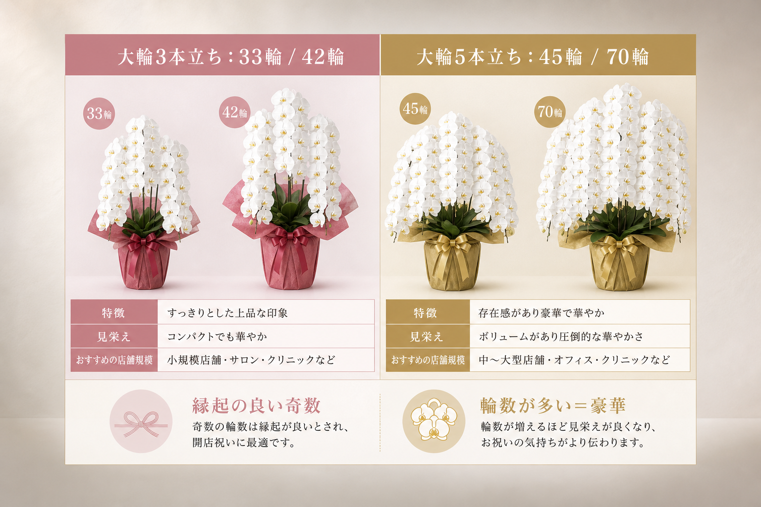 失敗しないための選び方の基準は？（予算・本数・輪数の違いがわかる比較表）