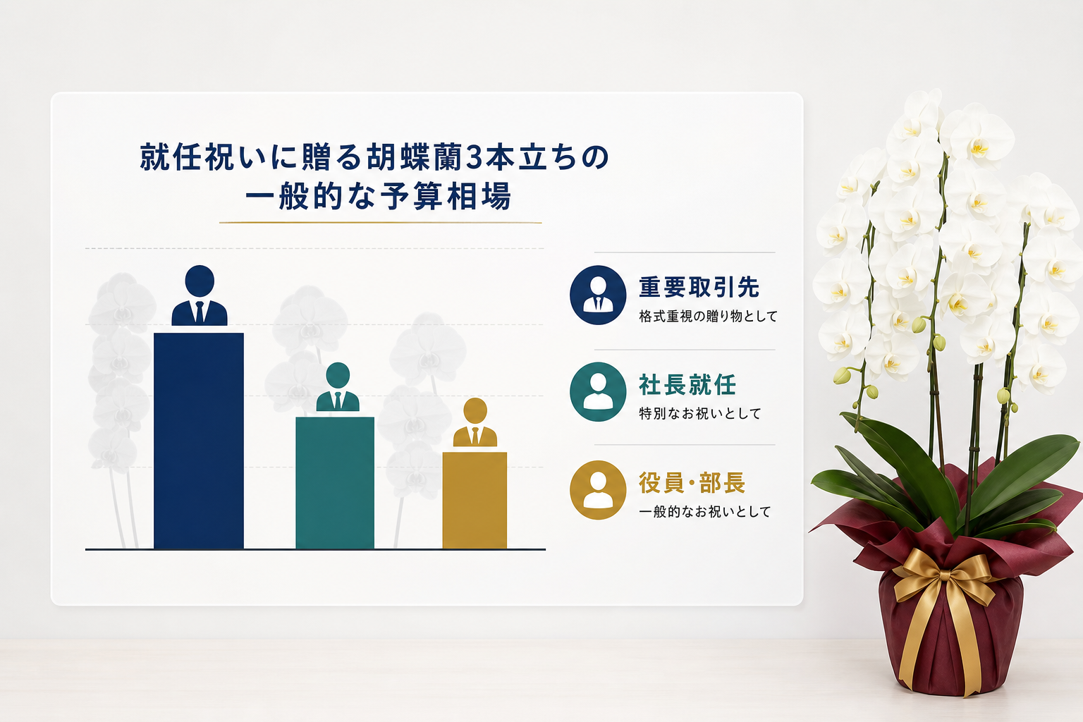 就任祝いに贈る胡蝶蘭3本立ちの一般的な予算相場はいくらか？
