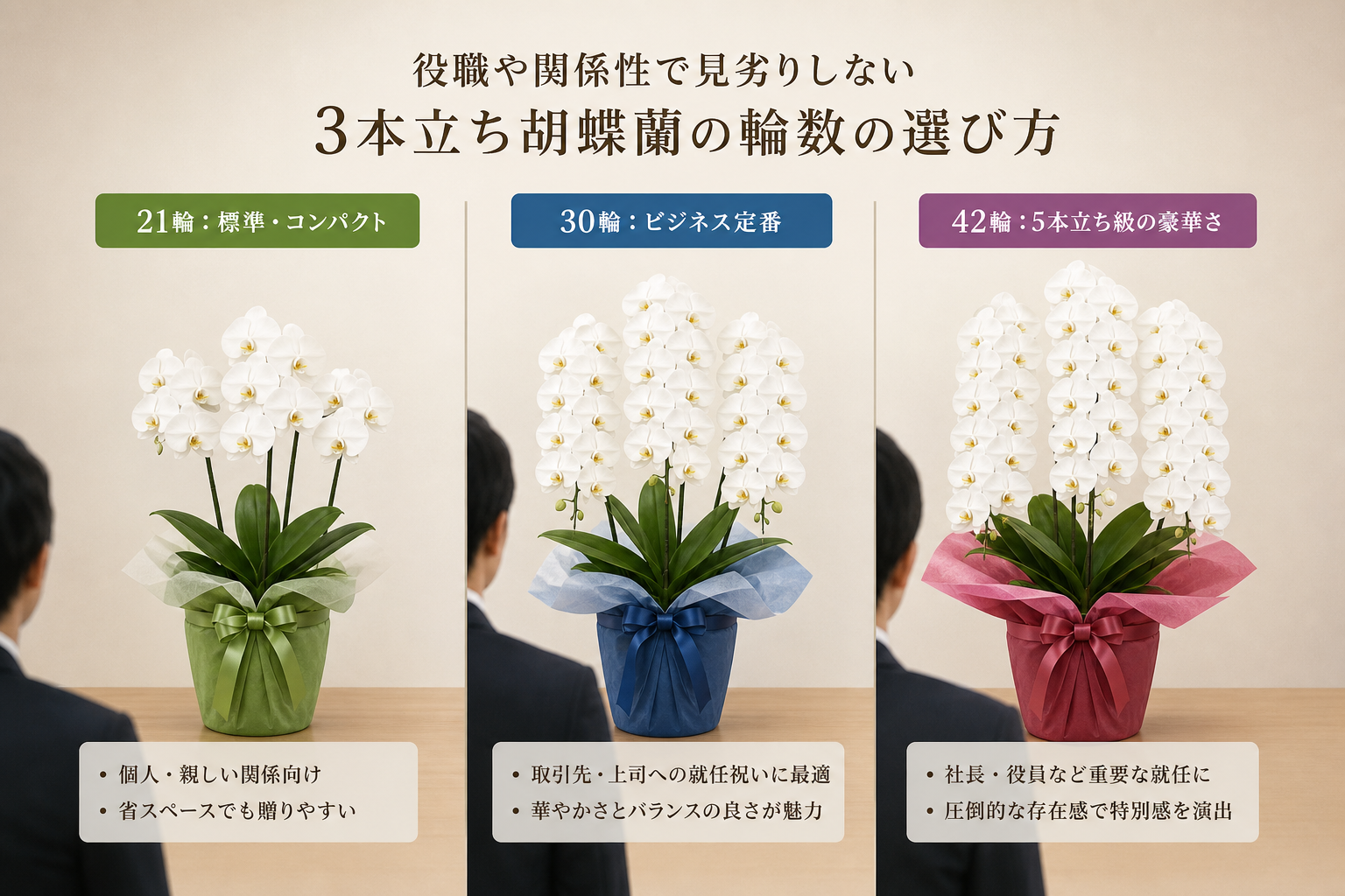 役職や関係性で見劣りしない3本立ち胡蝶蘭の輪数はどう選ぶべきか？
