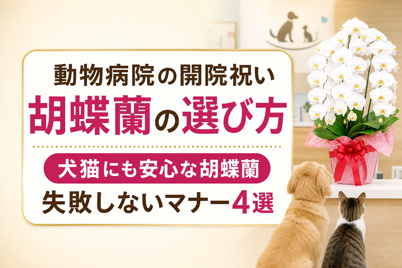 動物病院の開院祝いに胡蝶蘭は安全？失敗しないマナーとサイズ選び