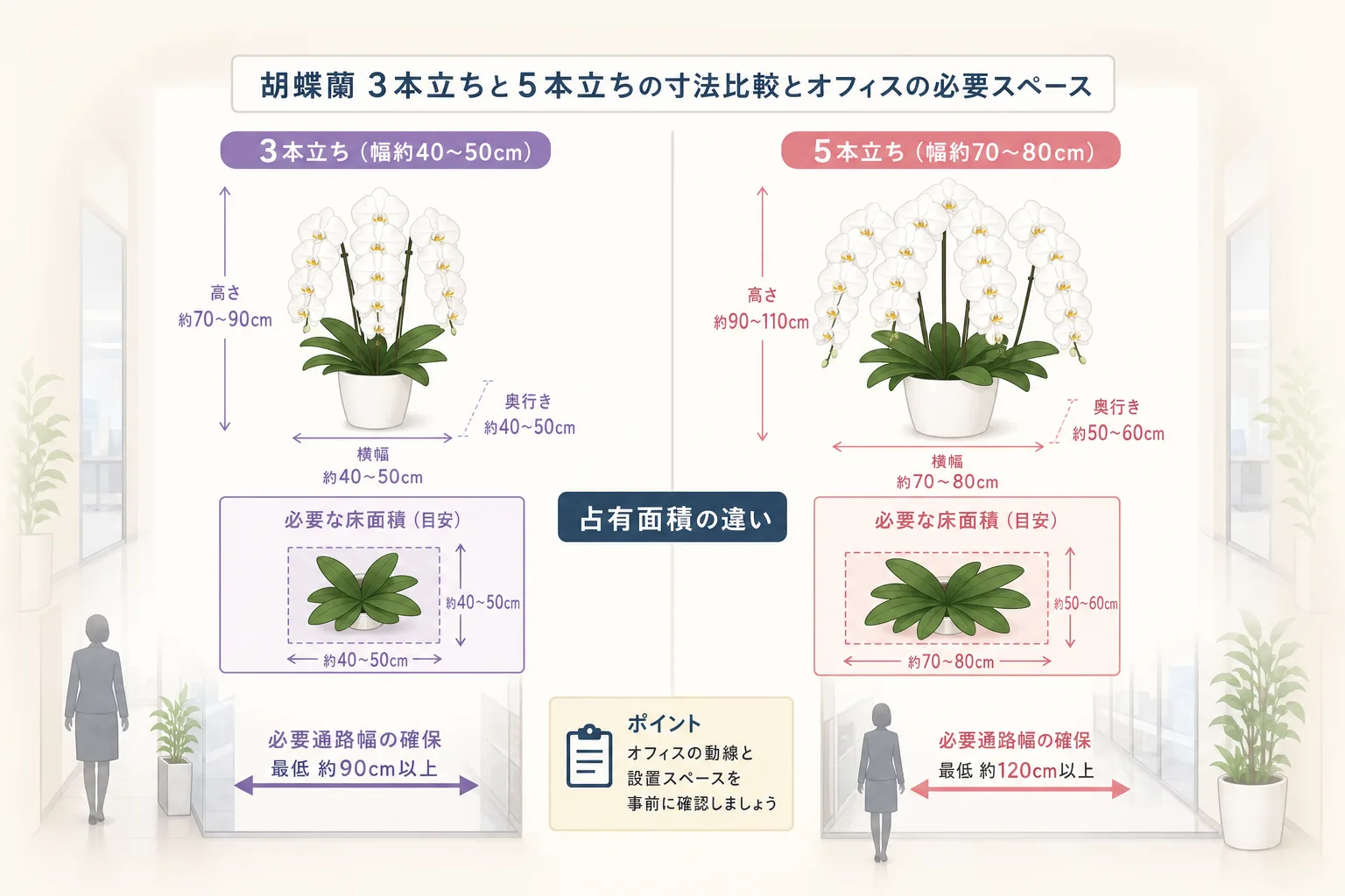 胡蝶蘭3本立ちと5本立ちの寸法や必要通路幅を対比して整理した比較表の図解