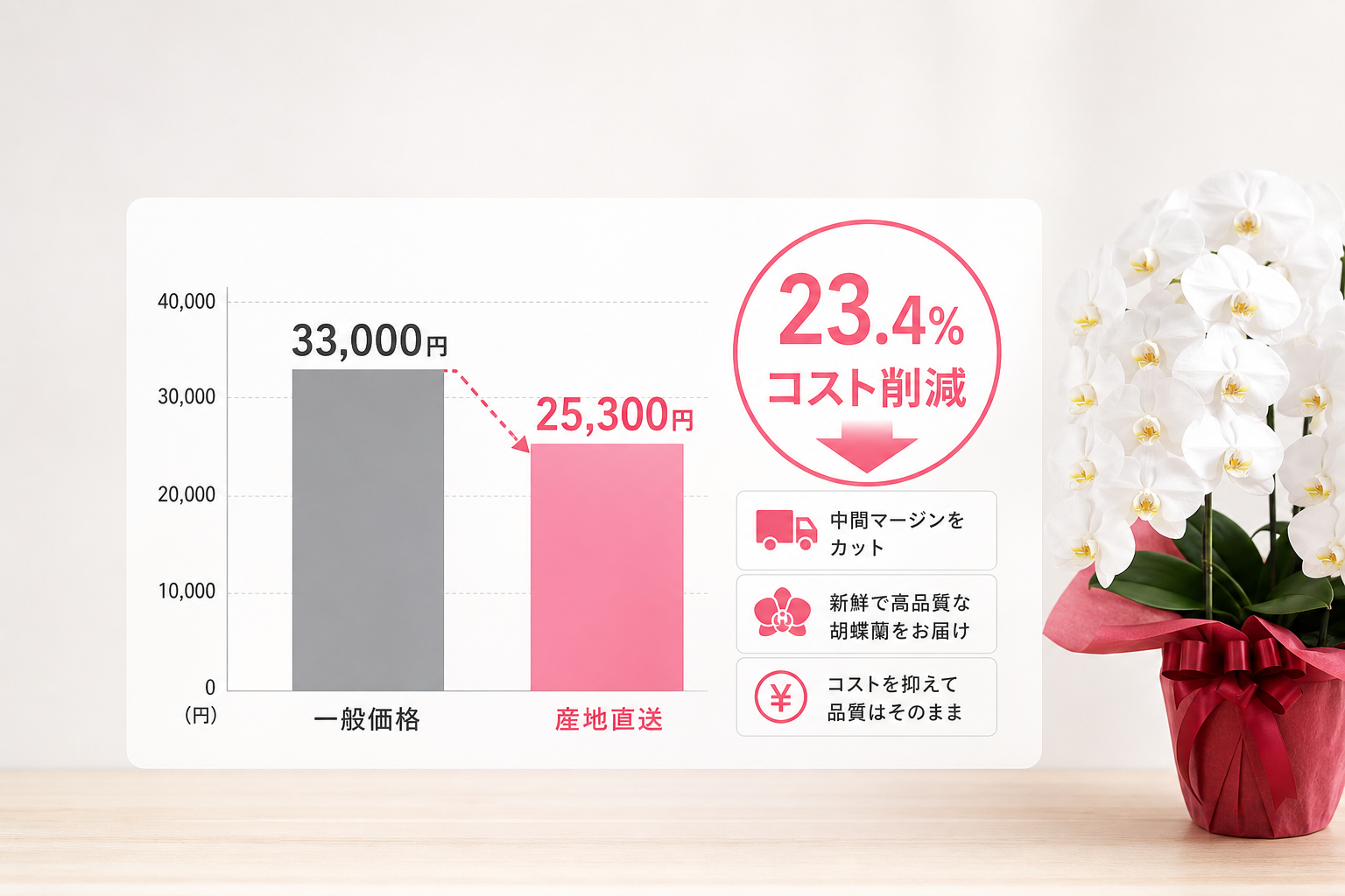 産地直送でコストを20%以上削減できる胡蝶蘭の選び方とは？
