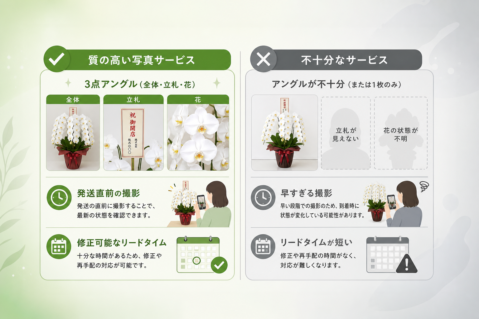 信頼できる胡蝶蘭の写真確認サービスを選ぶ比較基準とは何か？