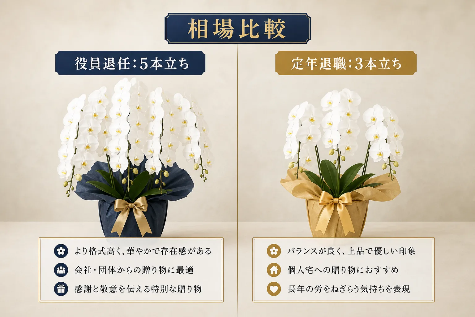 役員退任と定年退職それぞれの胡蝶蘭の予算相場や適切な本数立ちを一覧でまとめた比較表