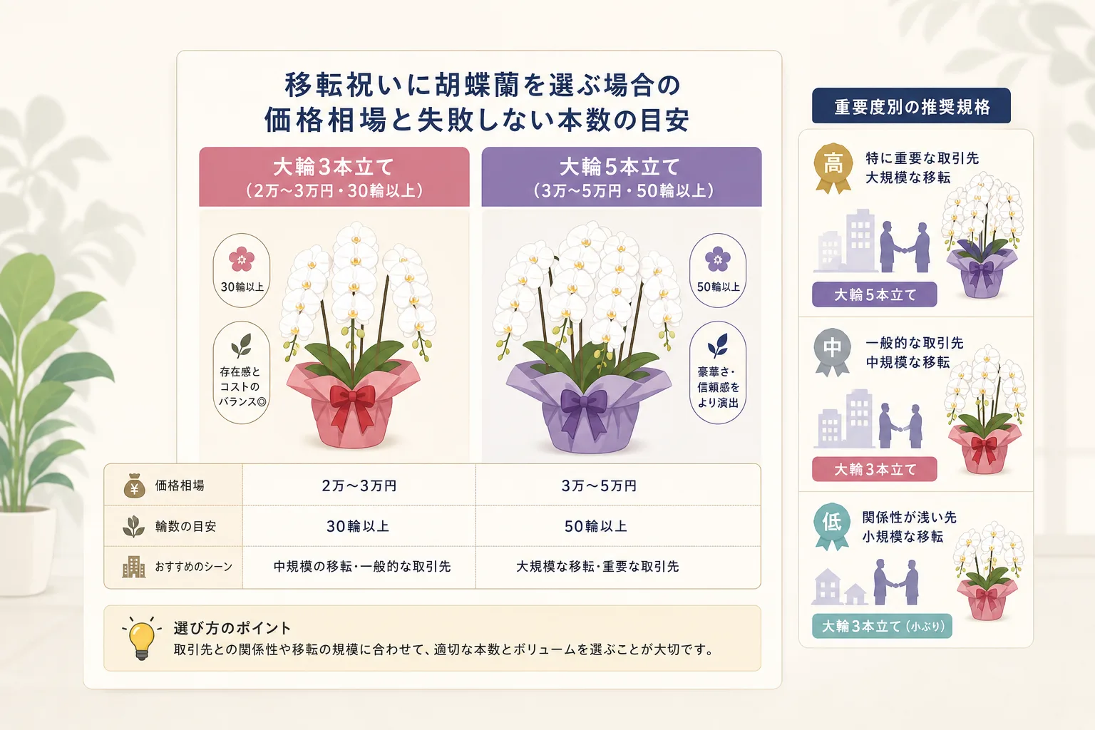 胡蝶蘭の3本立てと5本立ての価格帯および輪数のボリューム差を示したデータチャート図