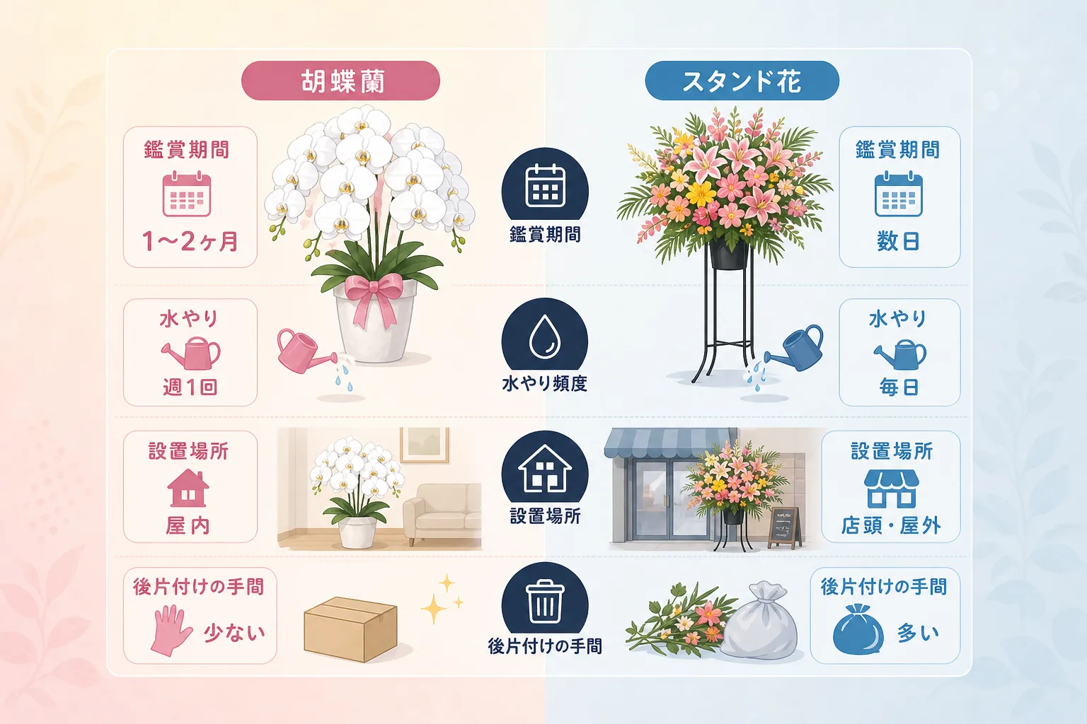 胡蝶蘭とスタンド花の日持ち、水やり頻度、設置場所、手入れの差を整理した比較表の図解