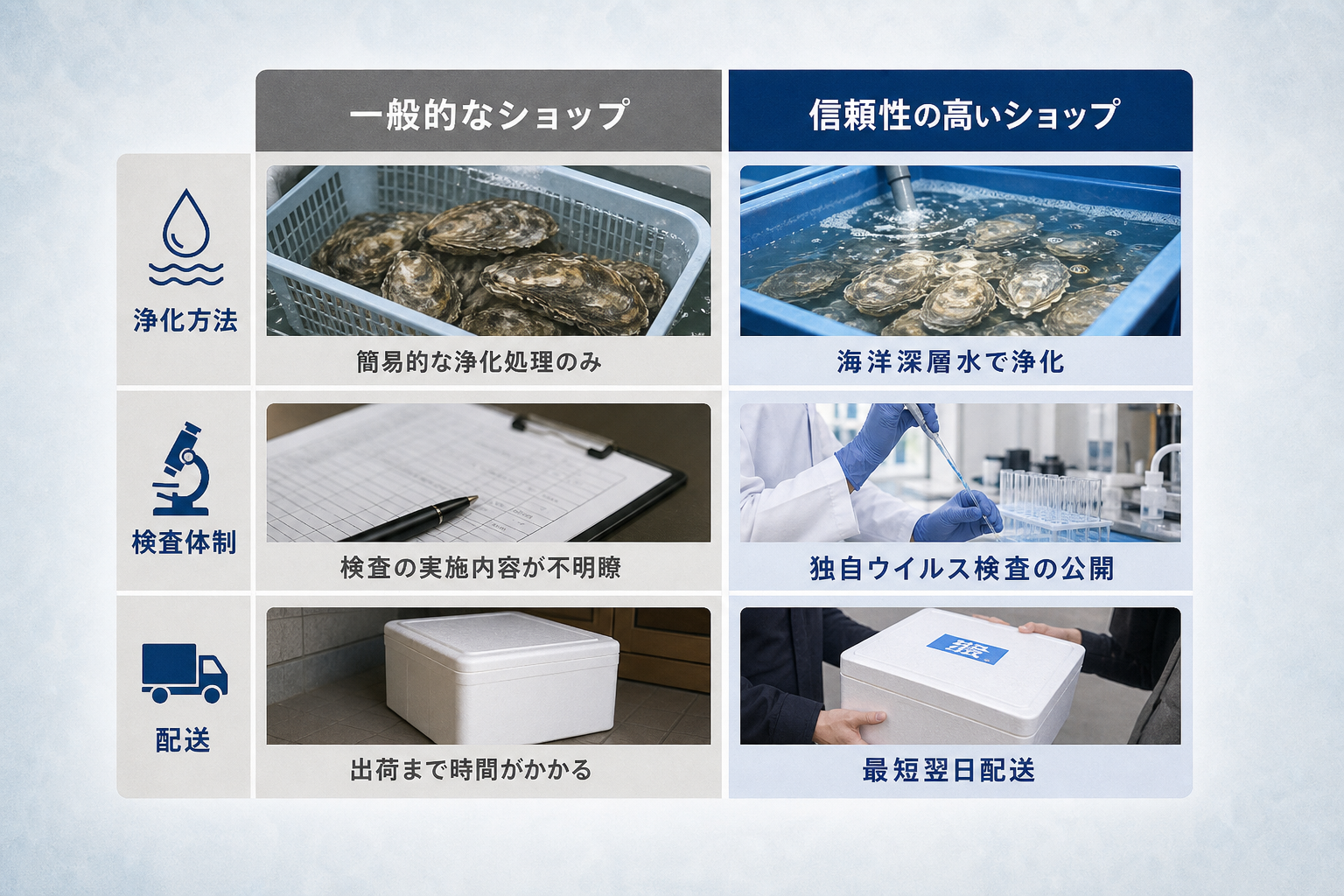 失敗しない牡蠣通販サイトを選ぶための3つの比較基準とは？